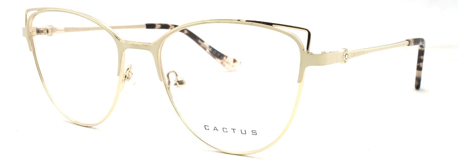 Cactus XC62198