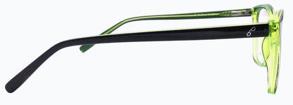 Optica Amore