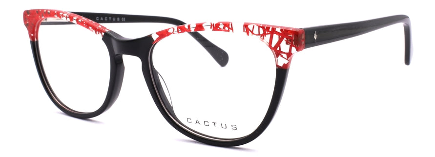 Cactus Aviici