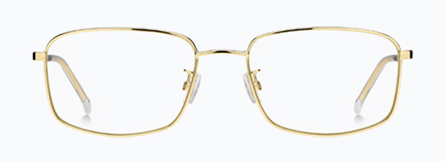 Hugo Boss Boss1678/F