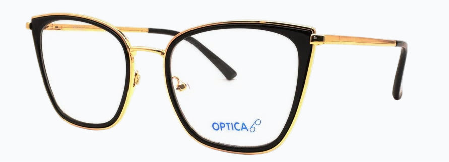 Optica 82013
