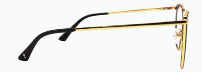 Optica 82013