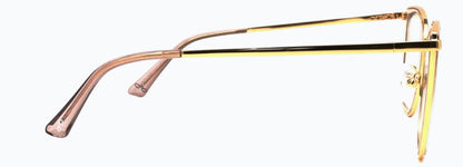 Optica 82013