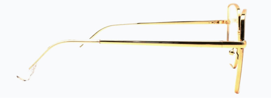 Optica 95815
