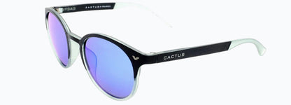 Cactus OS1737