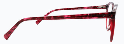 Optica P6091