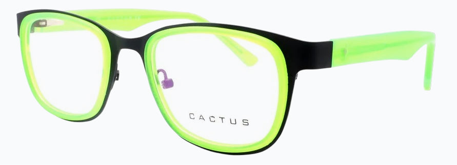 Cactus S957-1