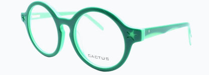 Cactus Spring