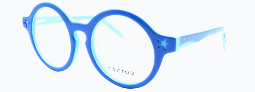 Cactus Spring