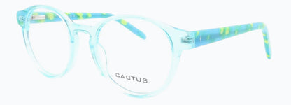 Cactus Summer