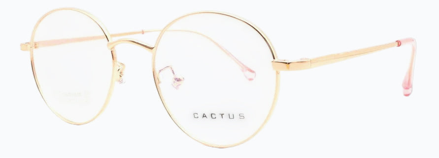 Cactus T858