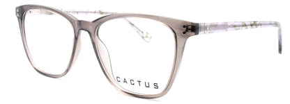 Cactus Vista