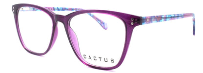 Cactus Vista