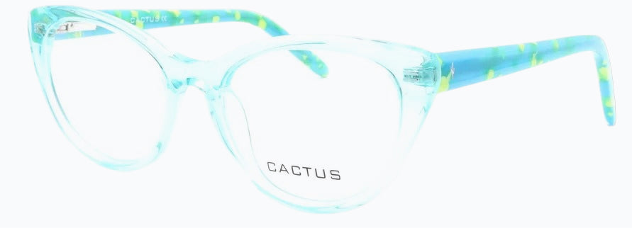 Cactus Winter