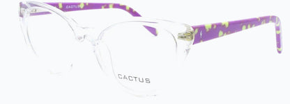 Cactus Winter