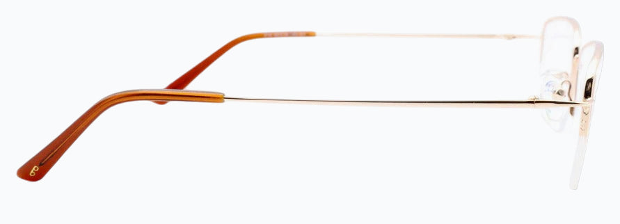 Optica 310