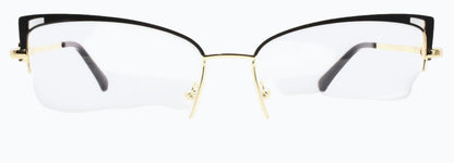 Optica 3956