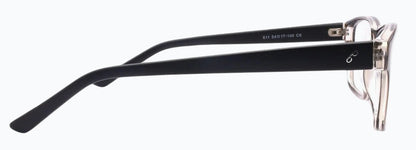 Optica 611