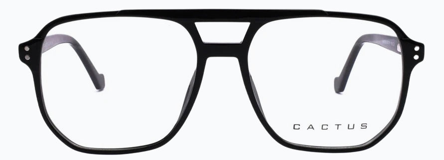 Cactus 884708