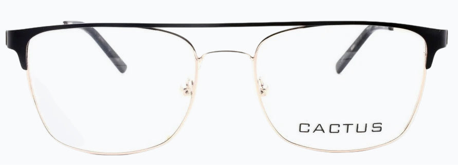 Cactus Riogrande