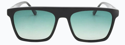 Cactus TYP080